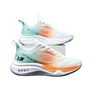 Latest Sports shoe