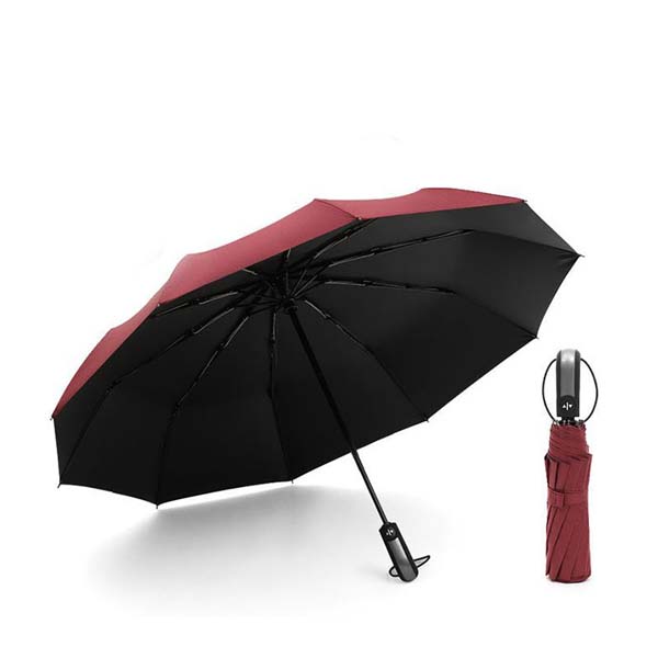 Auto Open Close Windproof Umbrella