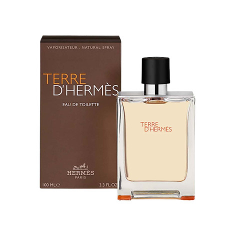 Terre D’hermes EDT for Men – 100ml (France)