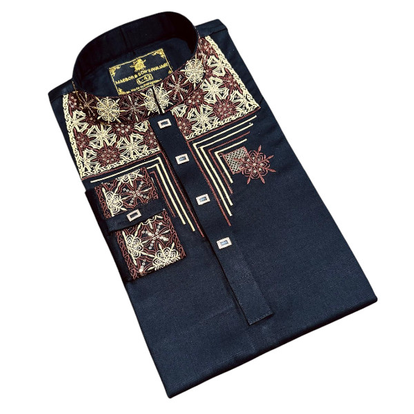 Stylish Panjabi