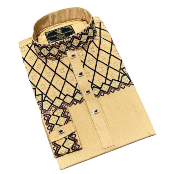 Stylish Panjabi