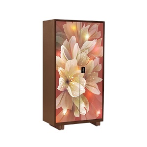Regal Household Metal Almirah Multi Color