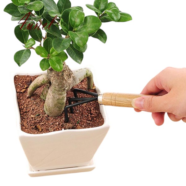 Garden Tools