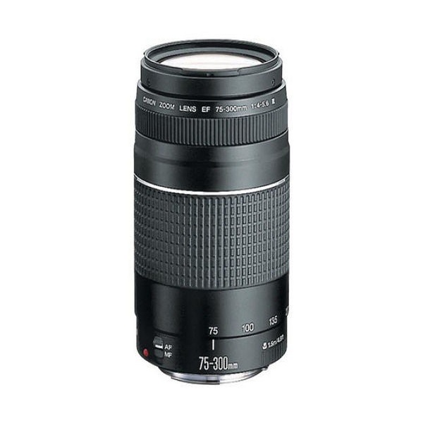 Canon 75-300mm F/4-5.6 III LENS