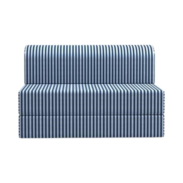 Regal Foam Sofa Cum Bed (Semi Double)