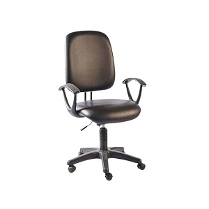 Regal Office Executive chair- Swivel Executive Chair | CSE-102-6-1-66