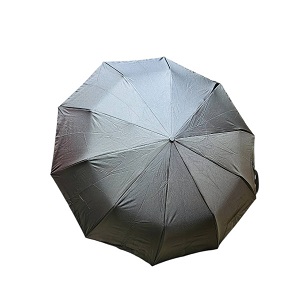 Premium 10-Ribs Automatic Folding Umbrella With Hanger Handle