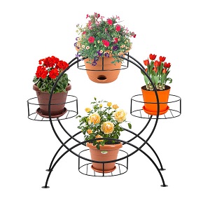 Regal Poppy Flower Stand