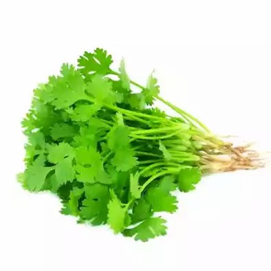 Coriander Leaves (Dhonia Pata) ± 10 gm