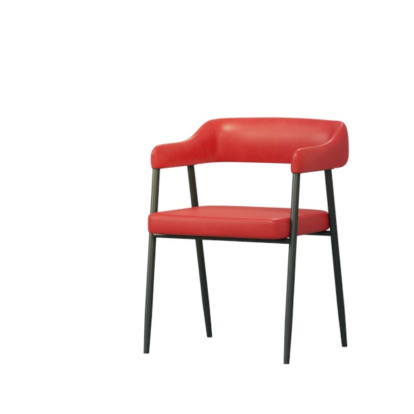 Regal Metal Dining/cafe/Visitor chair II CAFÉ CHAIR-201