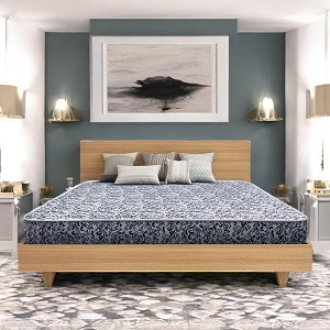 Regal MEDIPEDIC MATTRESS MEDIPEDIC DOUBLE MATTRESS (M-301)