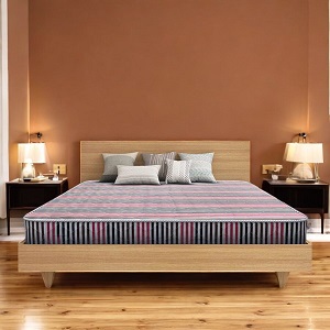Regal ULTRASOFT KING MATTRESS ULTRASOFT KING MATTRESS (M-501)