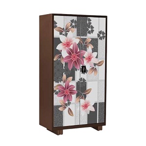 Regal Household Almirah Choco Carnation