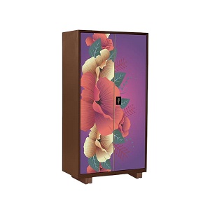 Regal Household Metal Almirah Multi Color