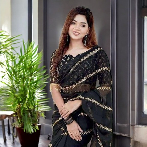 Elegance Embroidered Saree