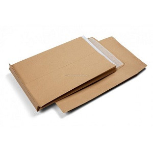 Brown Legal Envelope