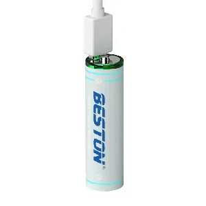 BESTON 2200mWh AA USB-C battery