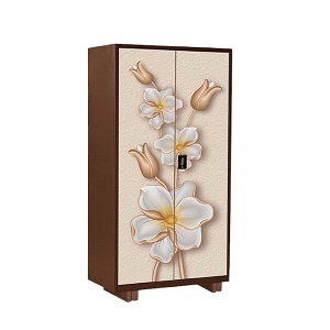 Regal Household Metal Almirah Multi Color