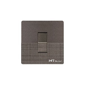 NT blu-ray Chrome Gray 1 GANG 2 Way Switch
