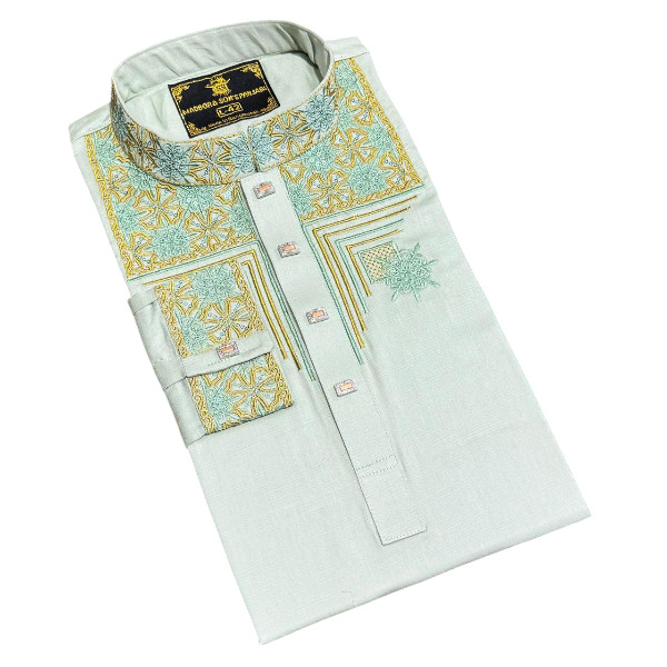 Stylish Panjabi