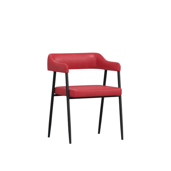 Regal Metal Dining/cafe/Visitor chair II CAFÉ CHAIR-201