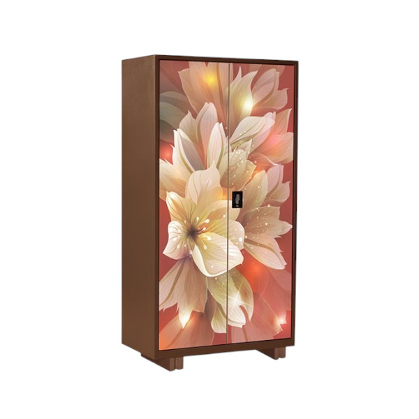 Regal Household Metal Almirah Multi Color
