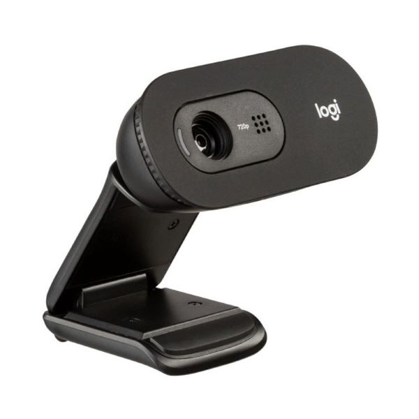 Logitech C505 High-Definition Webcam