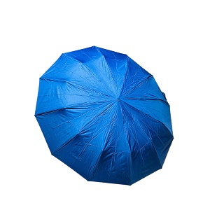 Premium 12-Ribs Automatic Dual-Person Umbrella with Fiber Handle