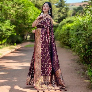 Elegance Afsan Katan Saree